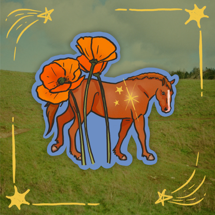Poppy Horse Sticker