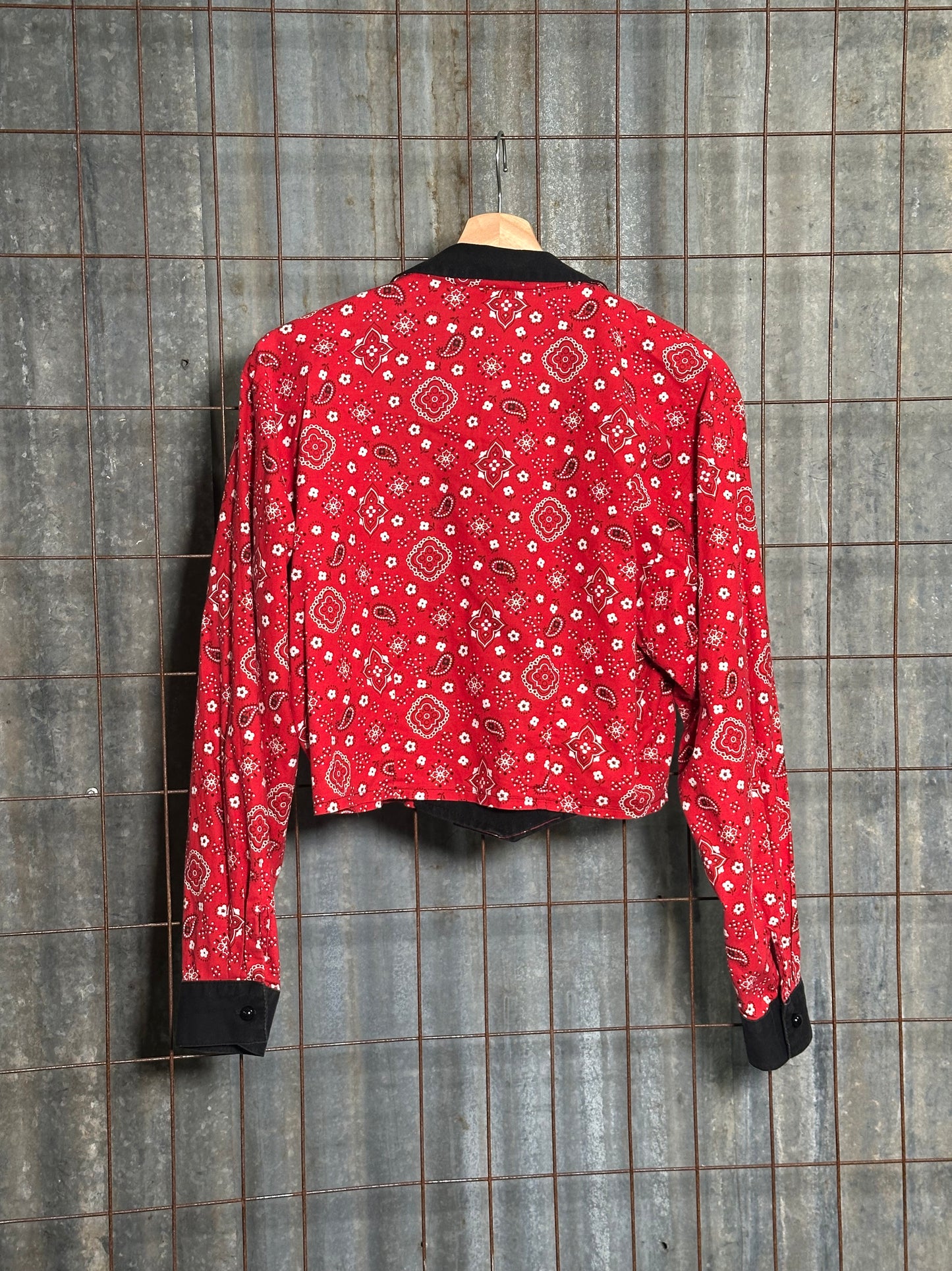 Vintage Red Paisley Western Crop Top