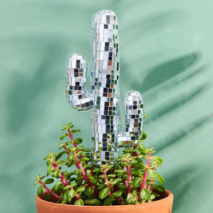 Disco Cacti Plant Stake