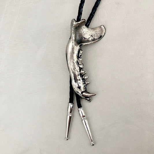 Coon Jawbone Bolo Tie White Bronze