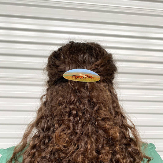 Horses Hair Clip