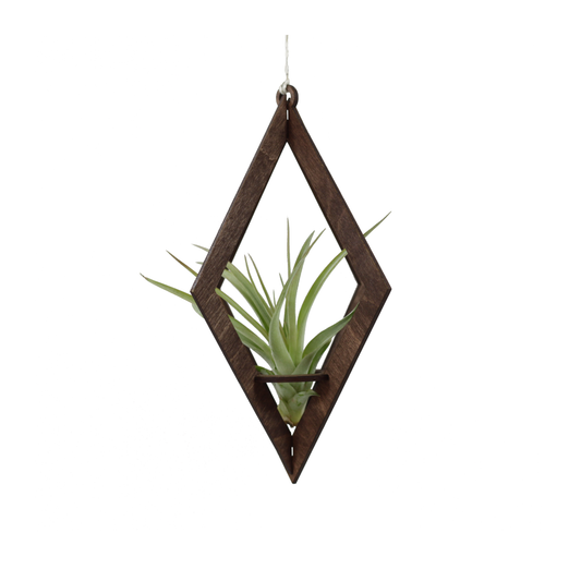 Diamond Walnut Air Plant Hanger