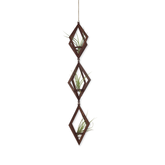 Walnut Air Plant Hanger Trio