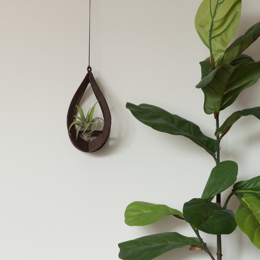 Teardrop Air Plant Hanger