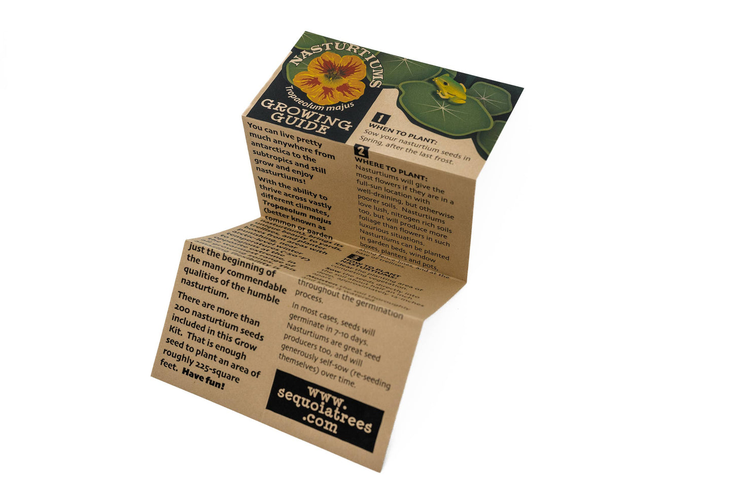 Nasturtium Flower Seeds Grow Kit