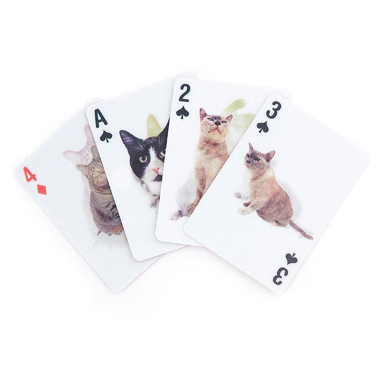 3D Cat Playing Cards