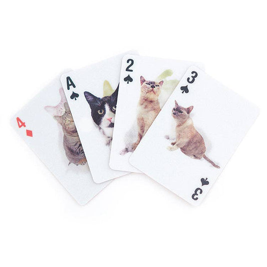 3D Cat Playing Cards