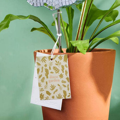 Disco Cacti Plant Stake