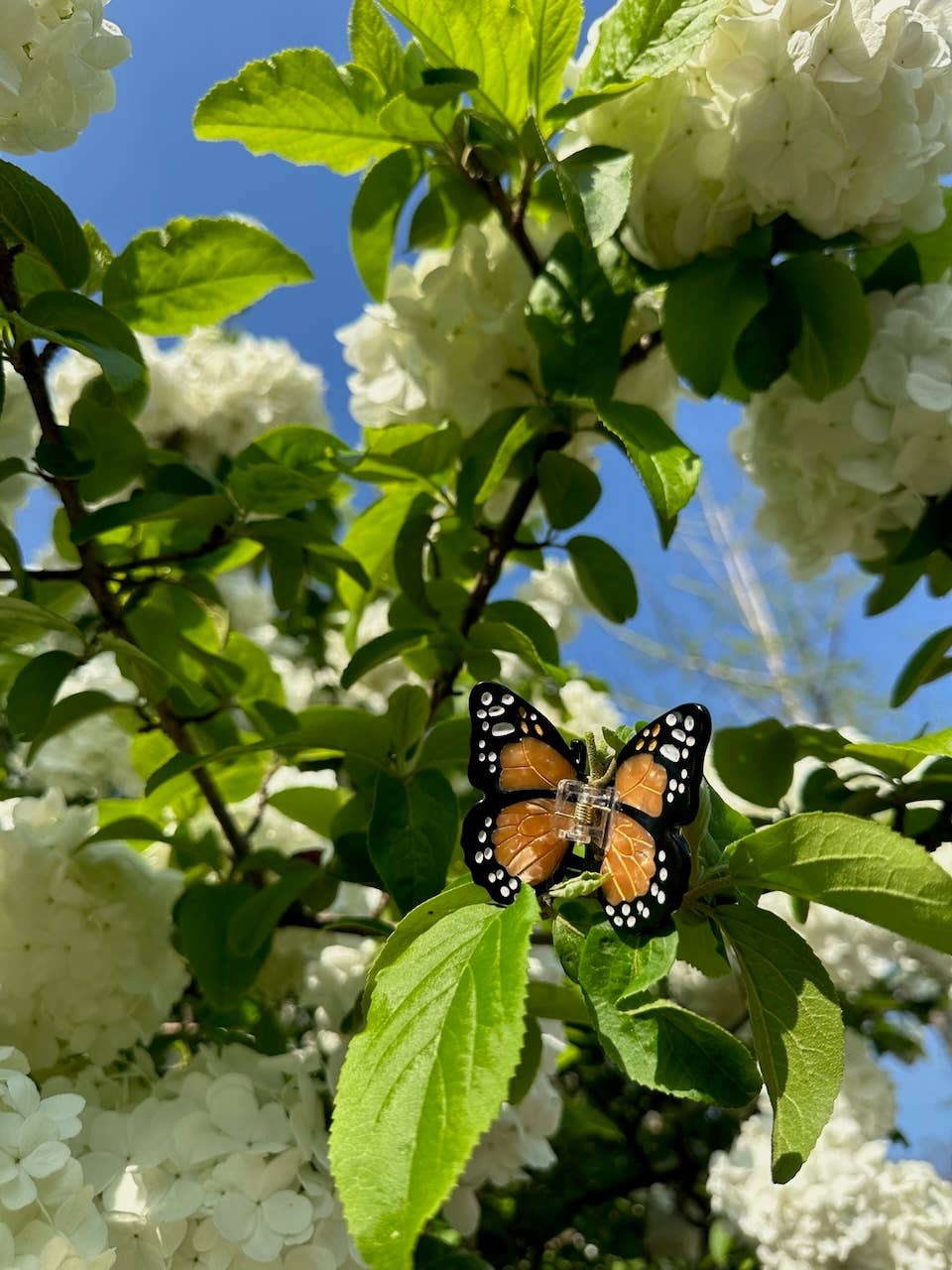 Hand Painted Monarch Hair Clip