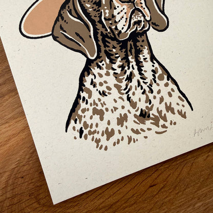 German Shorthaired Pointer Cowdog - Signed Art Print