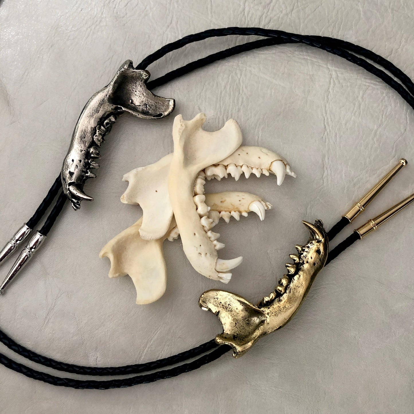 Coon Jawbone Bolo Tie White Bronze
