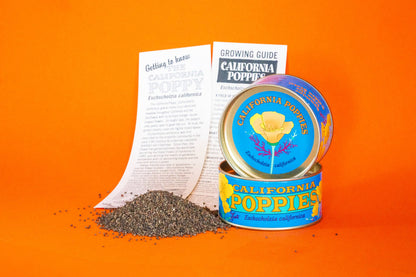 California Poppy Flower Seeds Grow Kit
