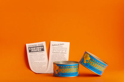 California Poppy Flower Seeds Grow Kit