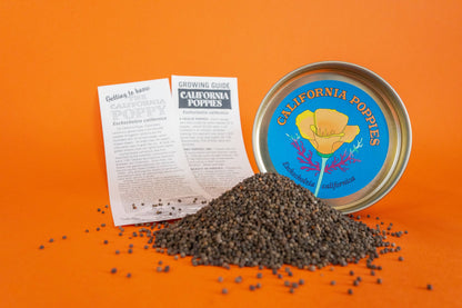 California Poppy Flower Seeds Grow Kit