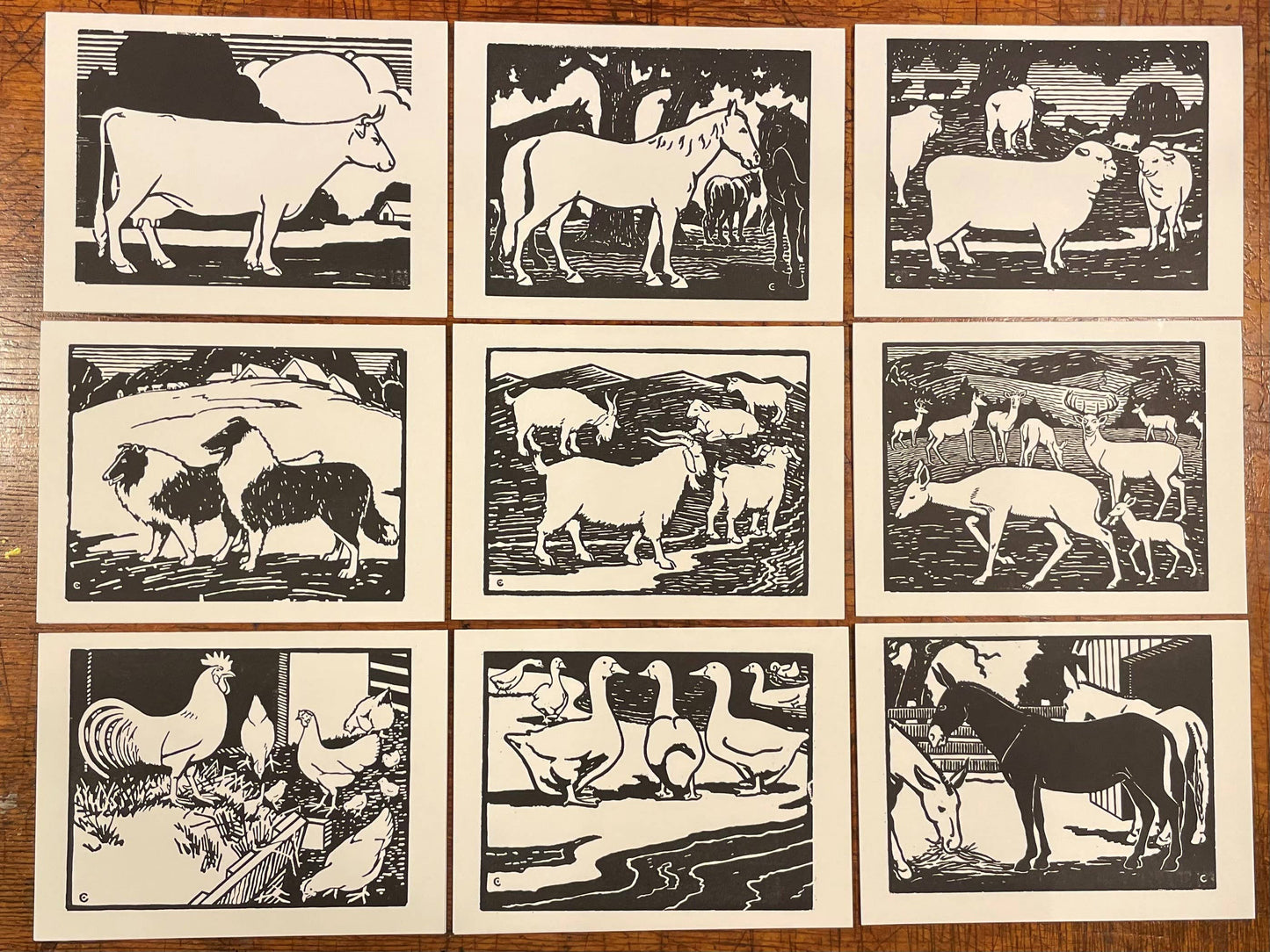 Barnyard Animal Coloring Cards