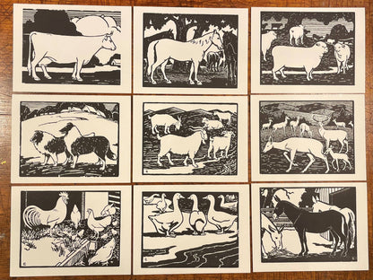 Barnyard Animal Coloring Cards