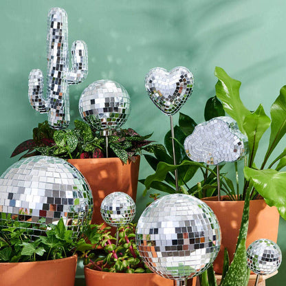 Disco Cacti Plant Stake