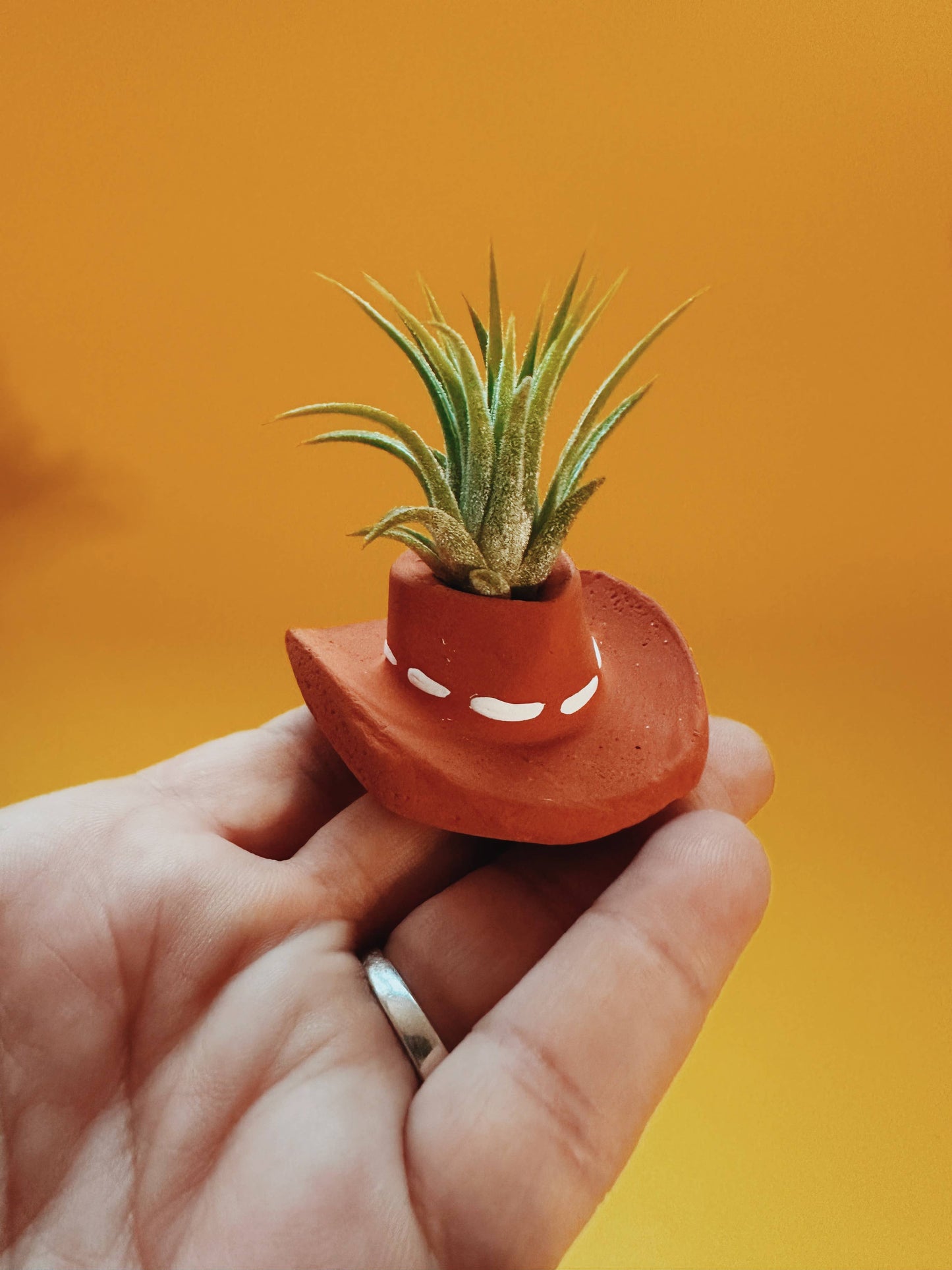 Cowboy Hat Air Planter