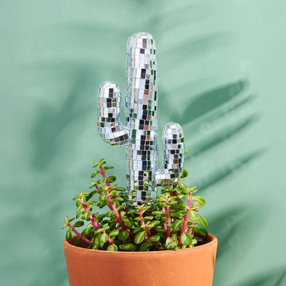 Disco Cacti Plant Stake