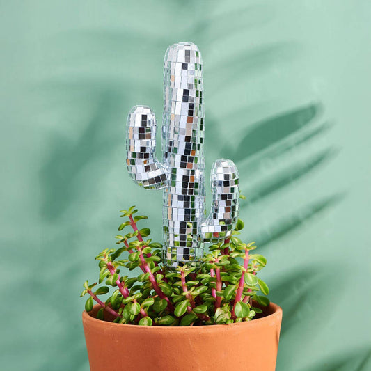 Disco Cacti Plant Stake