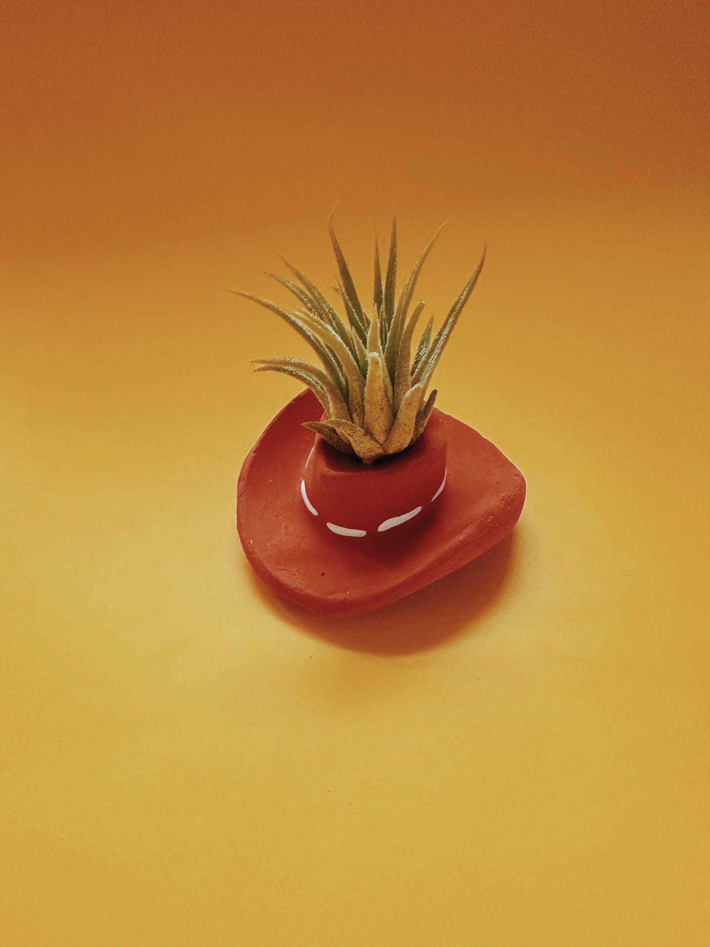 Cowboy Hat Air Planter