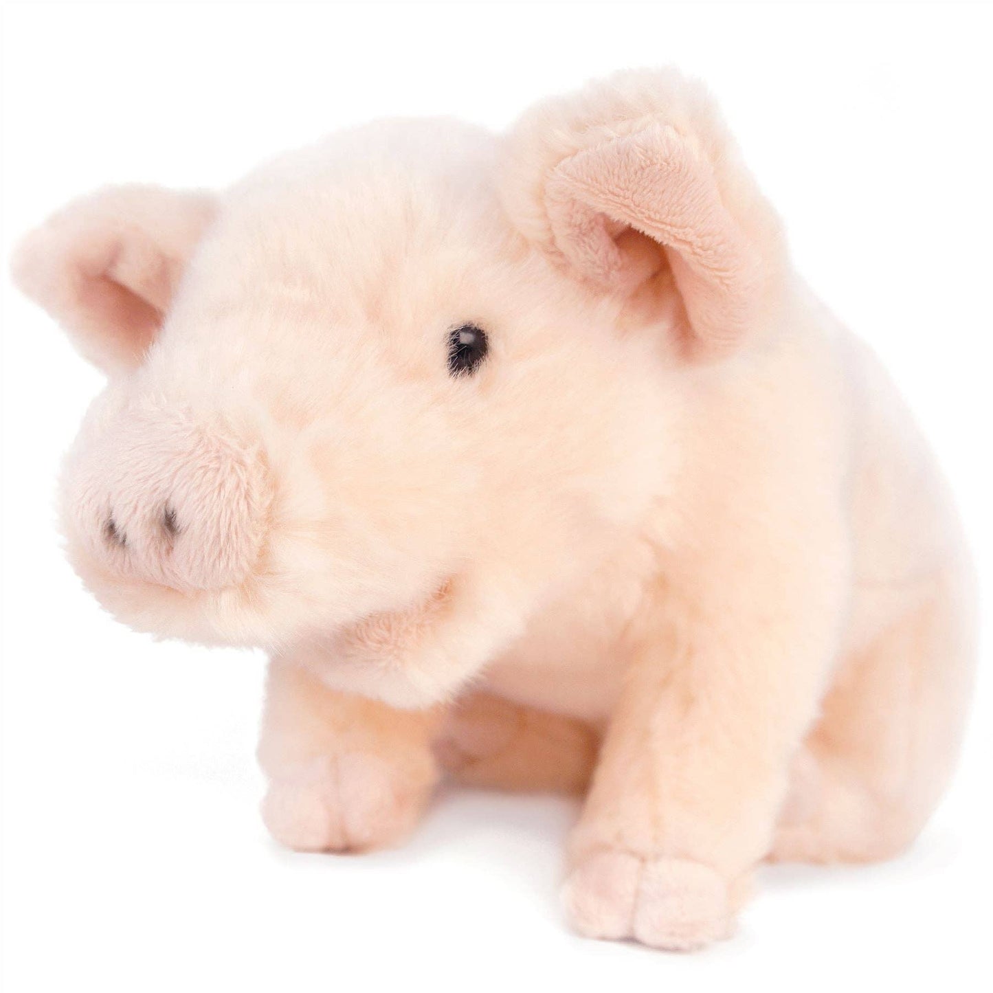 Plush Pig