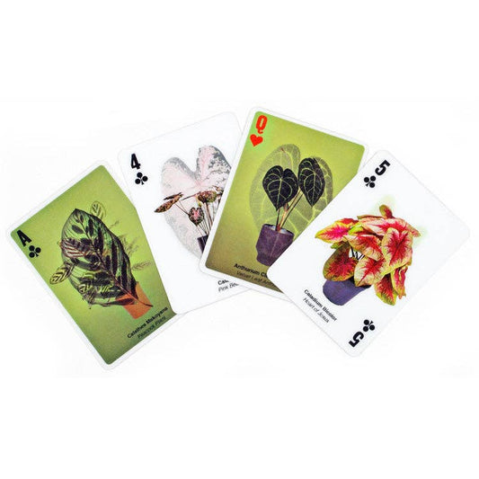 3D Plant Playing Cards