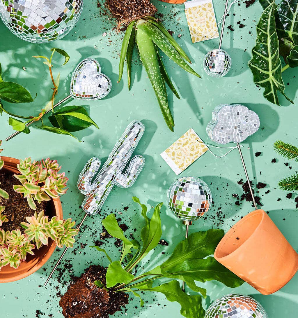 Disco Cacti Plant Stake