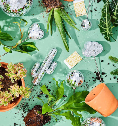 Disco Cacti Plant Stake