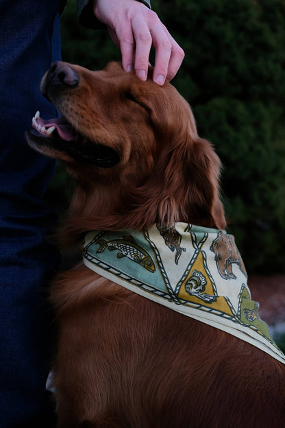 Animal Print Bandana of the Month
