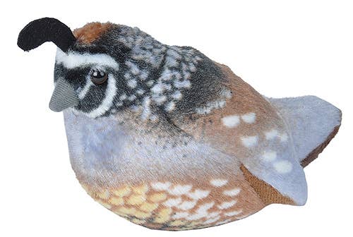 Plush Quail that Chirps