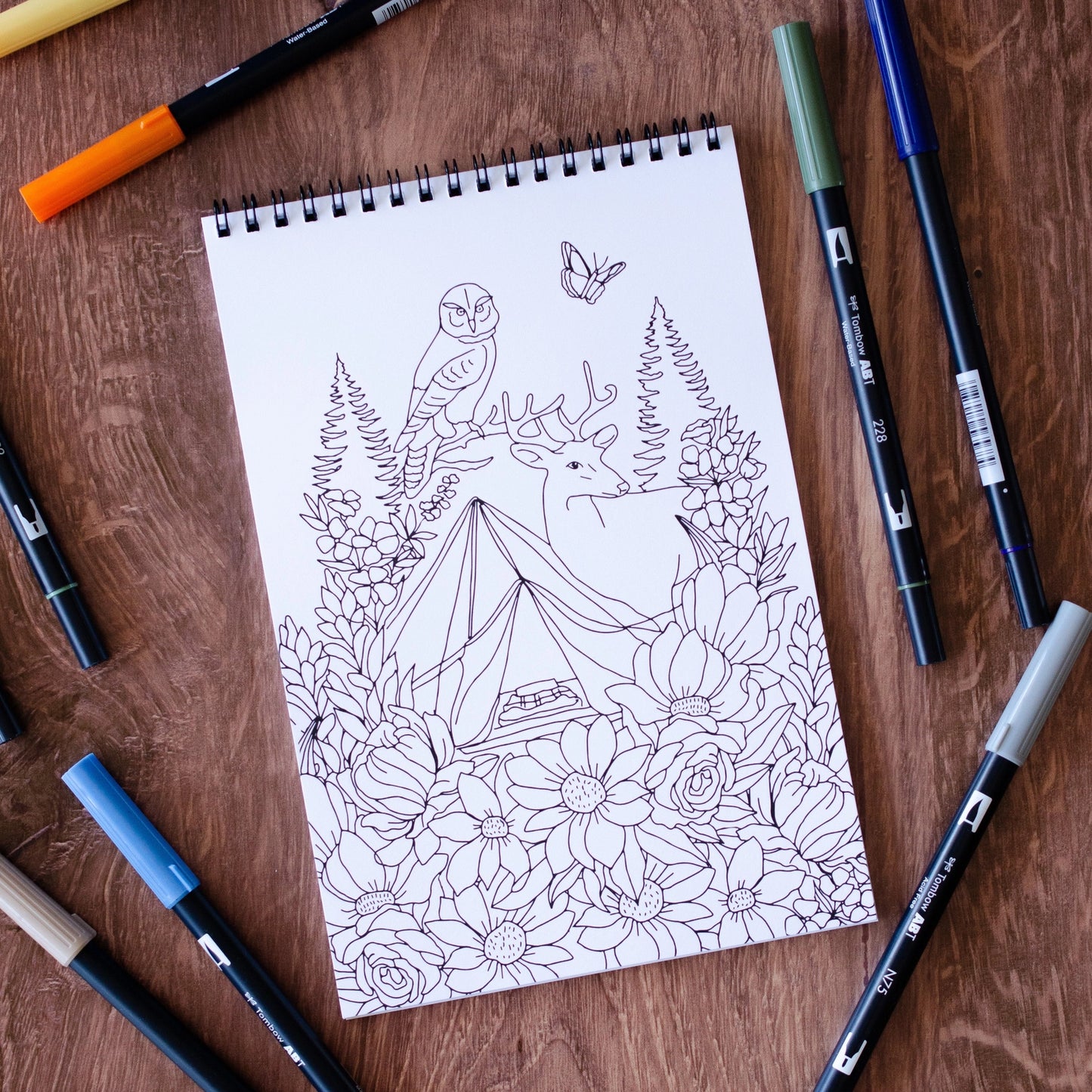 Outdoor Adventure Coloring Book