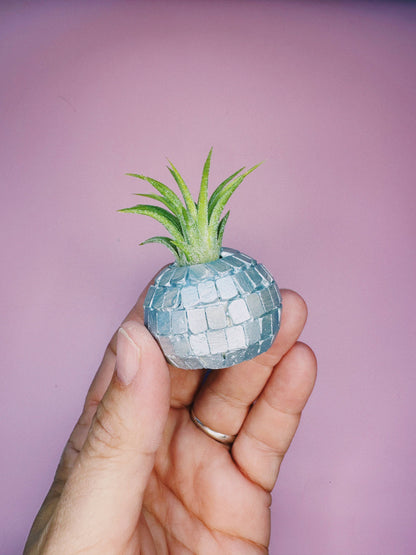 Disco Ball Mini Planter and Plant