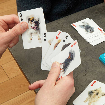 3D Dog Playing Cards