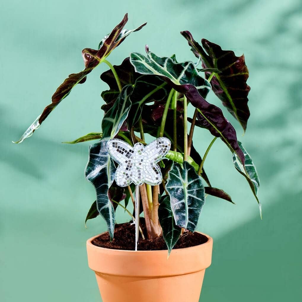 Disco Butterfly Plant Stake