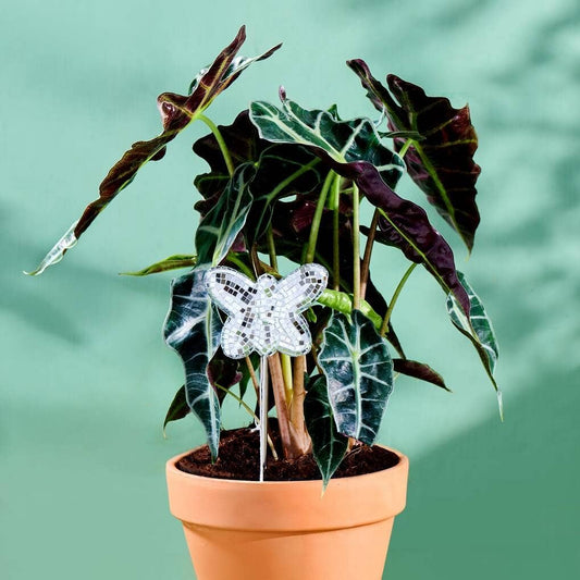 Disco Butterfly Plant Stake