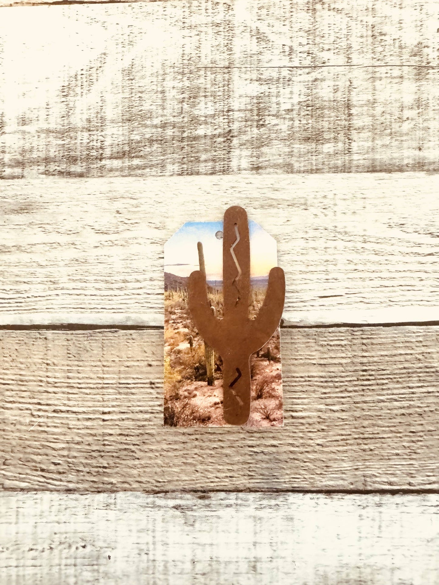 Cacti Metal Hat Pin