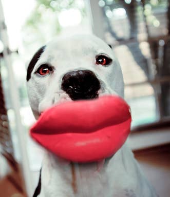 Big Red Lips Dog Toy