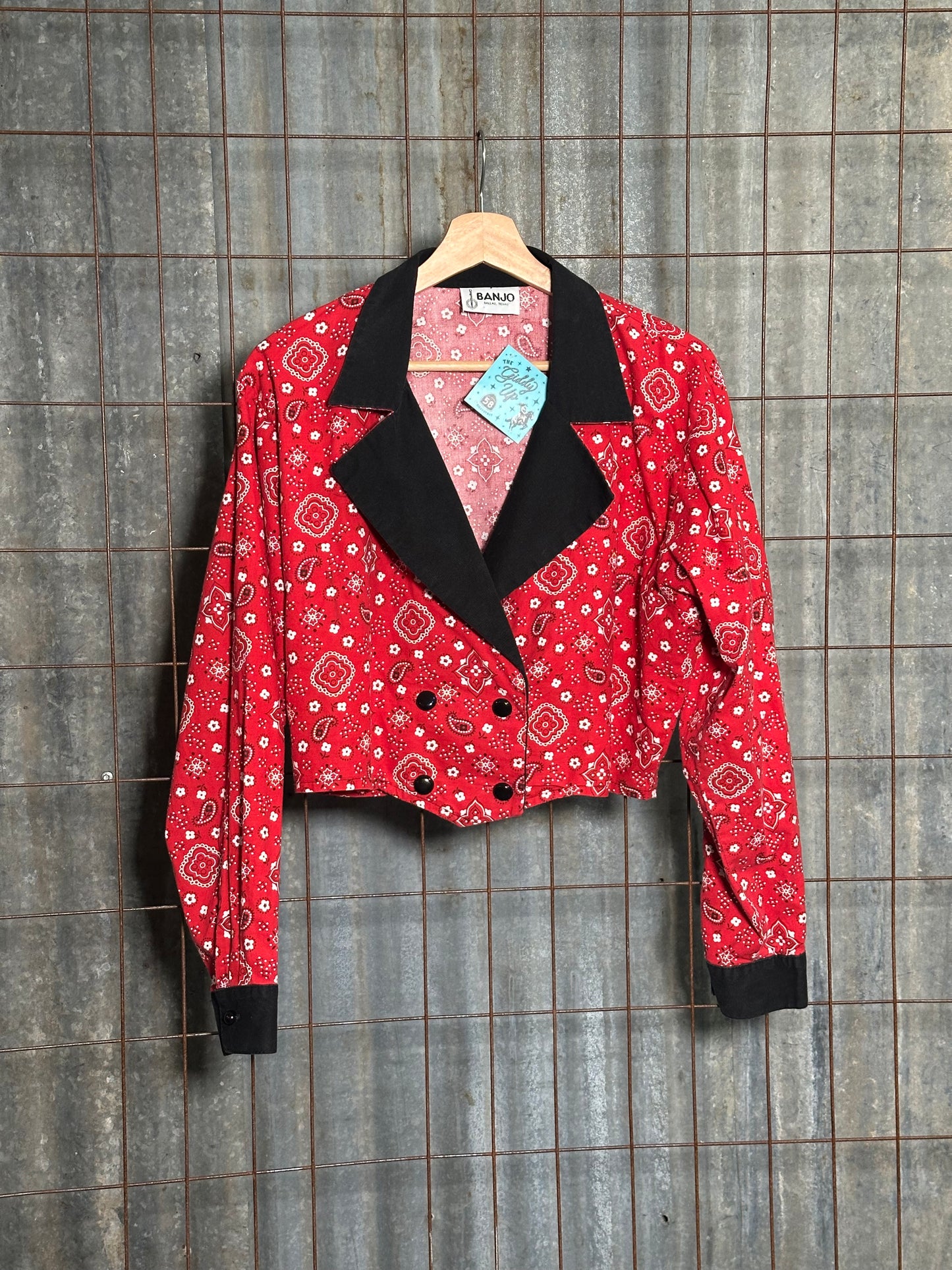 Vintage Red Paisley Western Crop Top