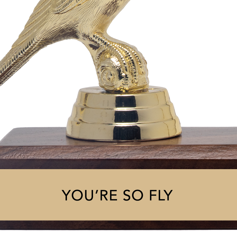 "YOU'RE SO FLY" Bird Trophy