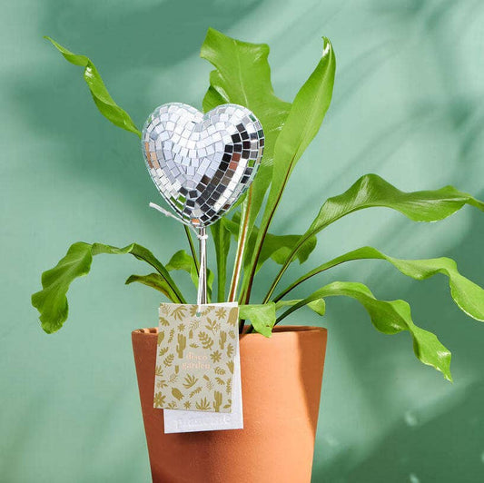 Disco Heart Plant Stake