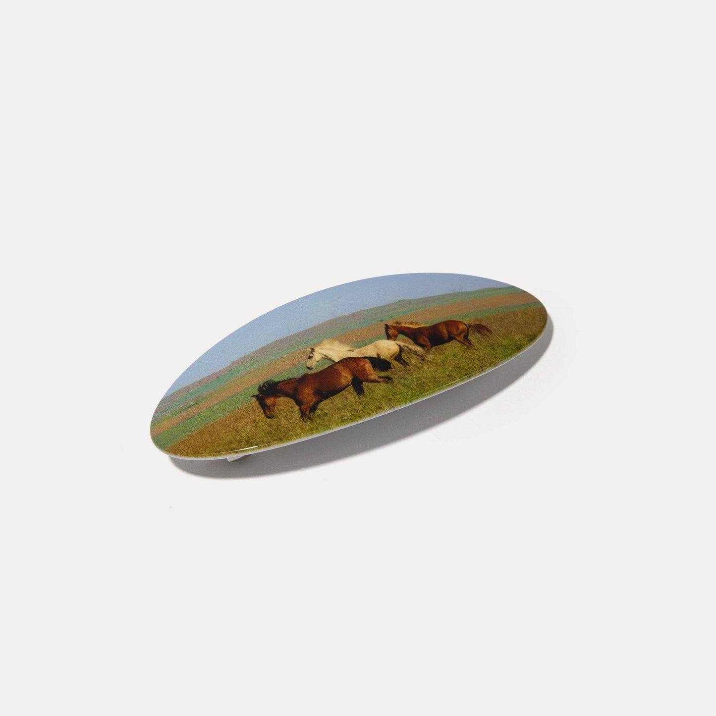 Horses Hair Clip