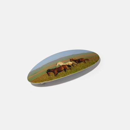 Horses Hair Clip