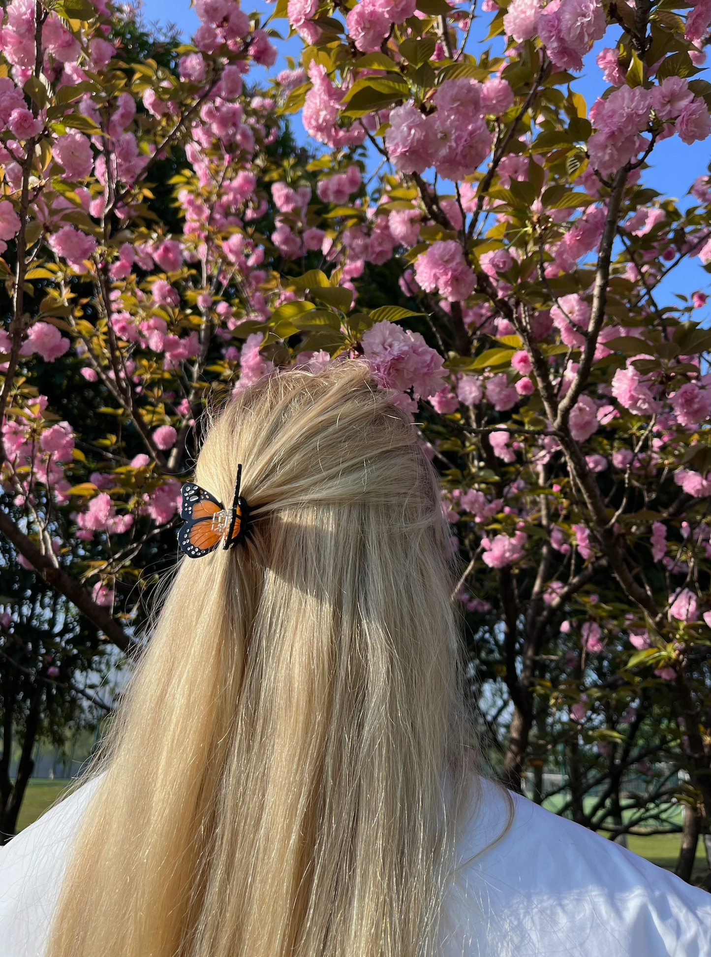 Hand Painted Monarch Hair Clip