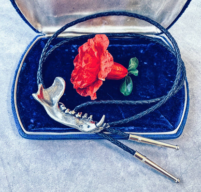 Coon Jawbone Bolo Tie White Bronze