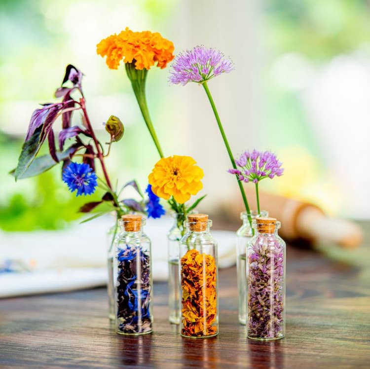 Edible Flower Seeds for Planting