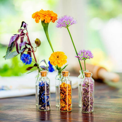 Edible Flower Seeds for Planting