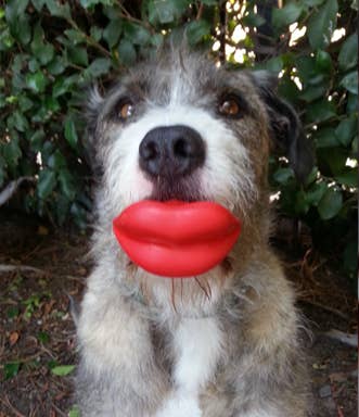 Big Red Lips Dog Toy