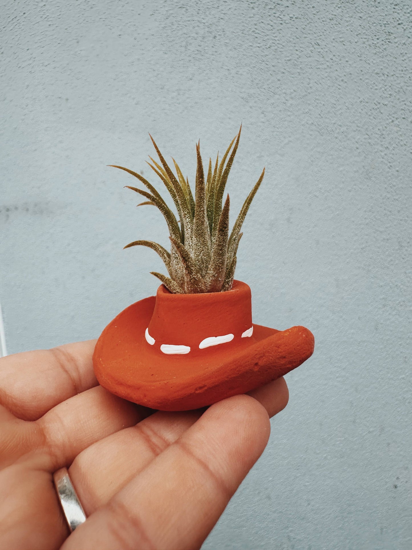 Cowboy Hat Air Planter