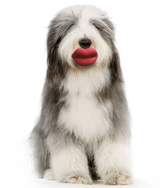 Big Red Lips Dog Toy